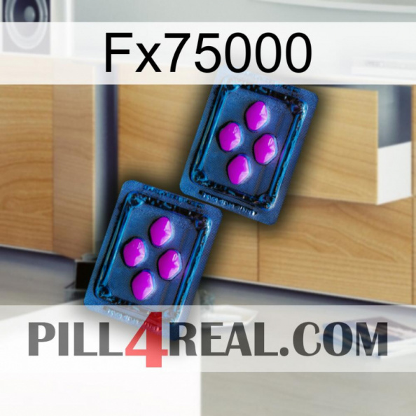 Fx75000 03.jpg